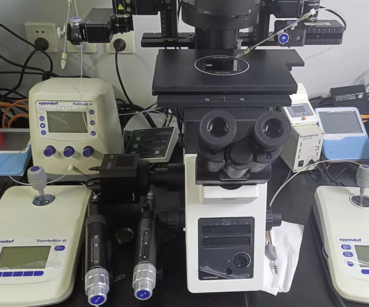 倒置显微镜及纺锤体观察系统